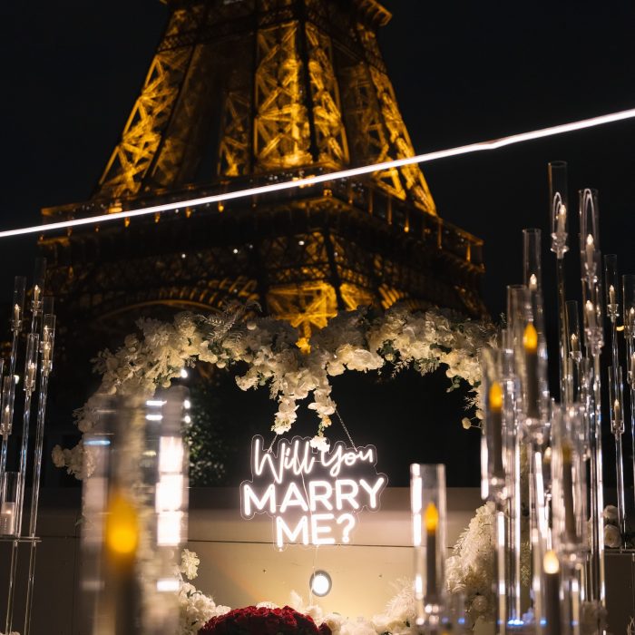 Paris proposal the best ideas (18)